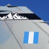 336SqnTailmark (4)
